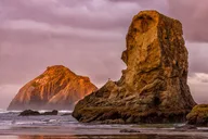 Oregon Coast Tour from Willamette Valley thumbnail 1