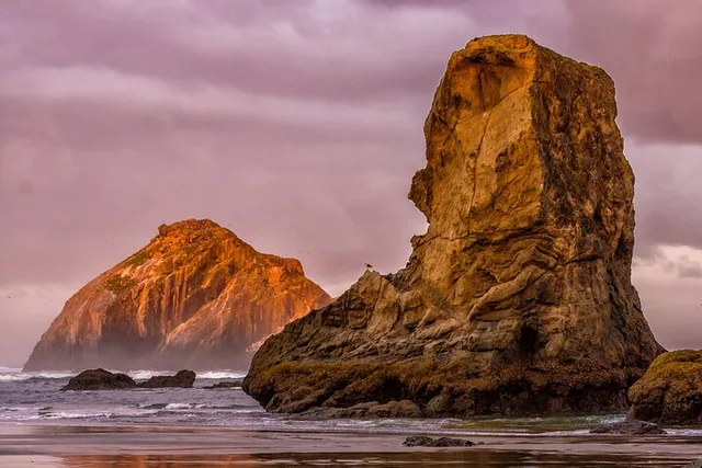 Oregon Coast Tour from Willamette Valley - Image 1