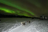 Fairbanks Northern Lights Dog Sled Tour with Dinner thumbnail 2