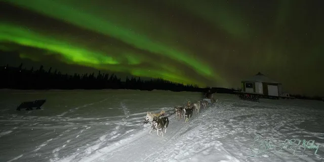 Fairbanks Northern Lights Dog Sled Tour with Dinner - Image 2