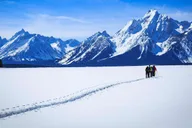 Grand Teton Snowshoe Tour 4 hr thumbnail 3