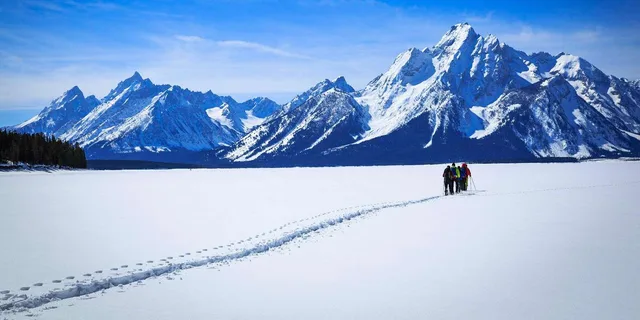 Grand Teton Snowshoe Tour 4 hr - Image 3