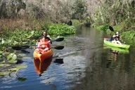 Wekiva Wildlife Kayaking Tour thumbnail 5