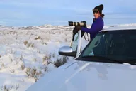 Jackson Hole Grand Teton Wildlife Safari 4 hr thumbnail 5