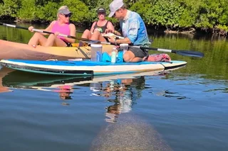 Lovers Key Eco Tour