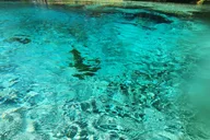 Gilchrist Blue Spring Glass Bottom Kayak Tour thumbnail 1