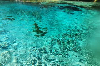 Gilchrist Blue Spring Glass Bottom Kayak Tour