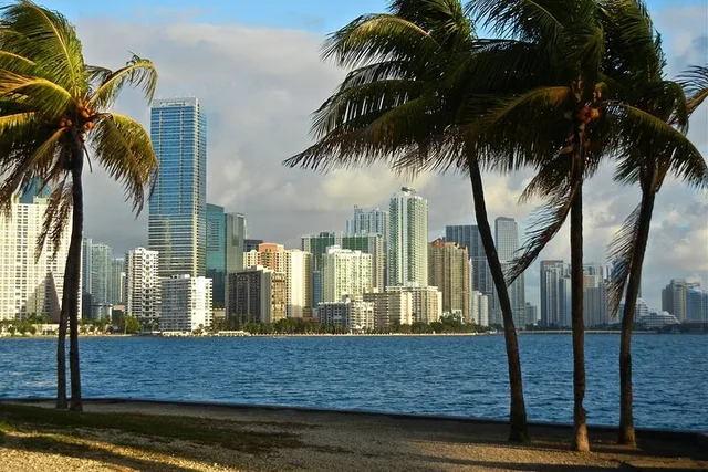 Miami Discovery Private Tour - Image 2