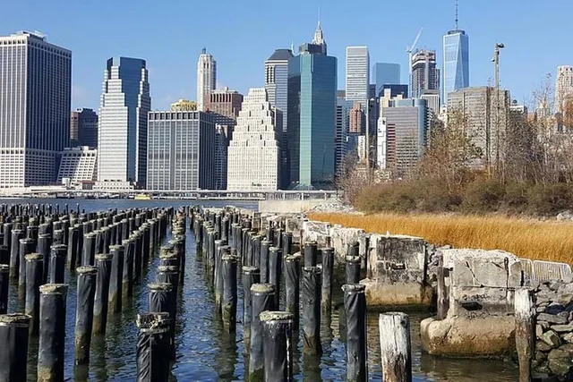 Brooklyn Walking Tour: Bridge, DUMBO, Heights - Image 4
