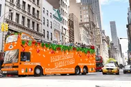 New York City Holiday Lights Sightseeing Tour thumbnail 3