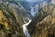 Jackson Yellowstone National Park Day Tour thumbnail 3