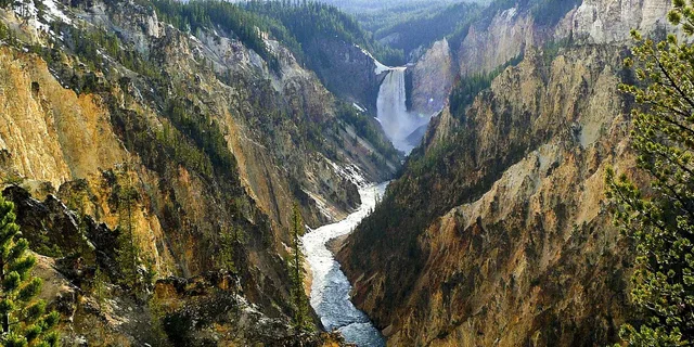 Jackson Yellowstone National Park Day Tour - Image 3