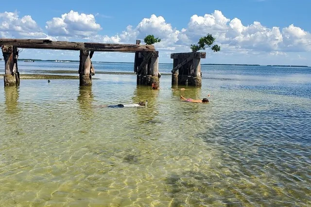 Englewood Sand Bar Adventure Boat Tour - Image 5