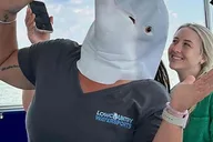 Hilton Head Dolphin Watching Boat Tour thumbnail 5