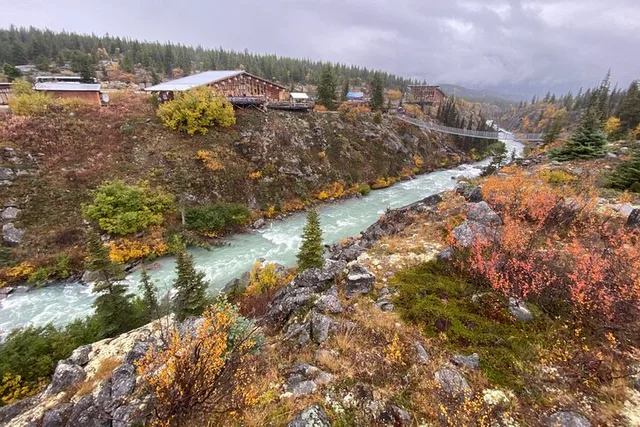 Skagway Suspension Bridge and Valley Tour - Image 2