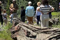Estes Park Off-Road Adventure Tour thumbnail 5