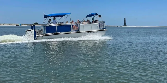 Folly Beach Dolphin Boat Tour to Morris Island - Image 3