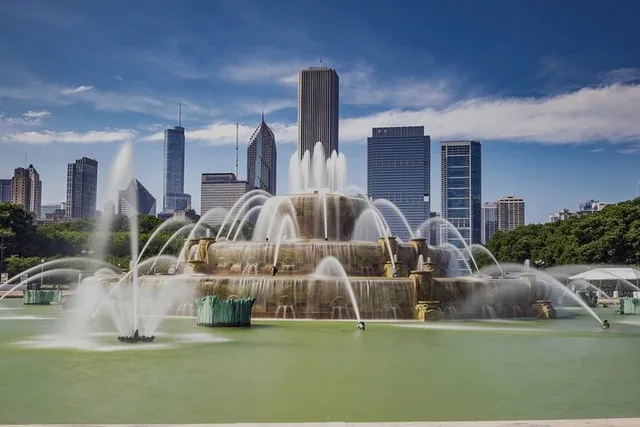 Chicago Private Tour - Image 4