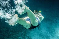 Miami Snorkeling Tour for Beginners thumbnail 5