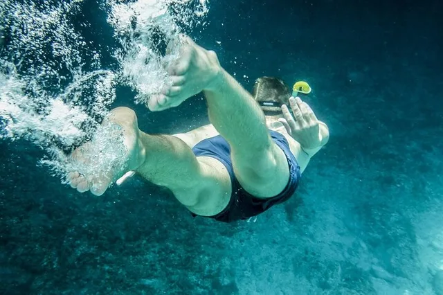 Miami Snorkeling Tour for Beginners - Image 5