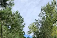 Rapid City Spearfish Canyon Private Tour 7.5 hr thumbnail 6