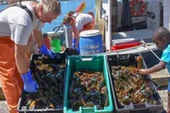 Boston Kennebunkport Day Trip with Optional Lobster Tour thumbnail 1