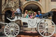 Charleston Private Horse-Drawn Carriage Tour thumbnail 2