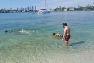 Miami Snorkeling Tour for Beginners 2 hr thumbnail 5