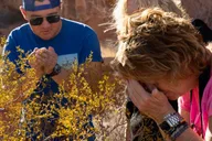 Las Vegas Valley of Fire Sunset Tour thumbnail 6