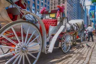 New York Central Park Horse Carriage Holiday Tour thumbnail 1
