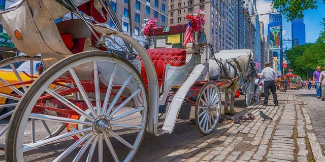 New York Central Park Horse Carriage Holiday Tour - Image 1