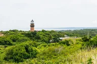 Boston Martha's Vineyard Day Trip with Optional Tour thumbnail 2