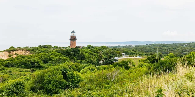 Boston Martha's Vineyard Day Trip with Optional Tour - Image 2