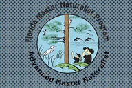 Fernandina Beach Kayak Eco Tour thumbnail 3