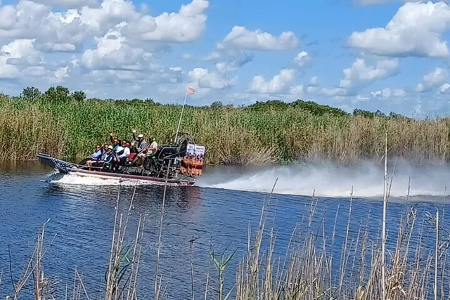 Everglades Airboat Safari - Image 3