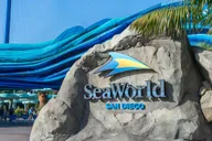 Orlando SeaWorld Shuttle Service thumbnail 2