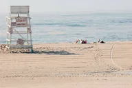 New York City Hamptons and Sag Harbor Day Trip thumbnail 1