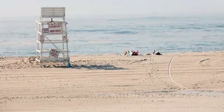 New York City Hamptons and Sag Harbor Day Trip