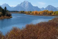 Jackson Grand Teton National Park Tour 4 hr thumbnail 5