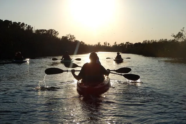 Merritt Island Kayak Tour with Manatees and Bioluminescence - Image 2