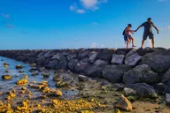 Waikiki Photography Session with Influencer thumbnail 4