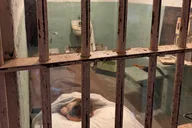 San Francisco Alcatraz Island and Bay Cruise thumbnail 1