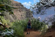 Honolulu Waterfall Hike in Rainforest thumbnail 3