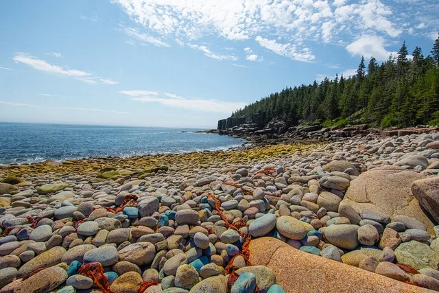 Acadia National Park Private Tour - Image 6