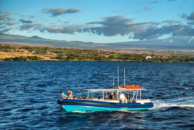 Kawaihae Sealife Snorkel Adventure 3 hr - Image 3