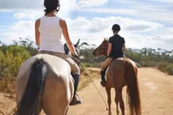 Kauai Scenic Horseback Ride thumbnail 4