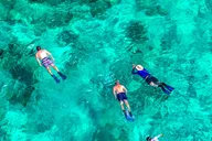 Florida Keys Kayak and Snorkel Adventure thumbnail 1