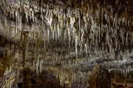 San Antonio Natural Bridge Caverns Tour thumbnail 6