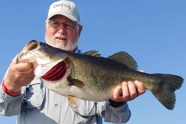 Orlando Lake Tohopekaliga Fishing Charter - Image 5