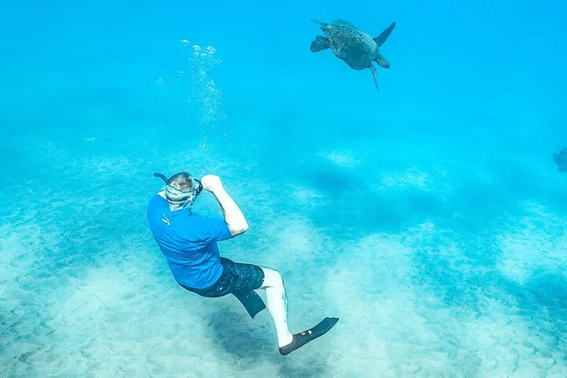 Maui Molokini & Turtle Town Snorkel Adventure - Image 3